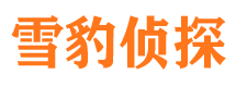 夏河市侦探公司